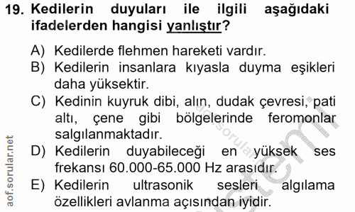 19. soru: Kedilerin duyuları ile ilgili aşağıdaki ifadelerden hangisi yanlıştır? A) Kedilerde flehmen hareketi vardır. B) Kedil…
