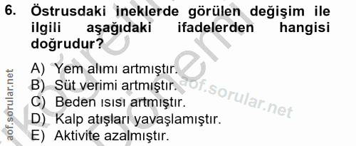 6. soru: Östrusdaki ineklerde görülen değişim ile ilgili aşağıdaki ifadelerden hangisi doğrudur? A) Yem alımı artmıştır. B) Sü…