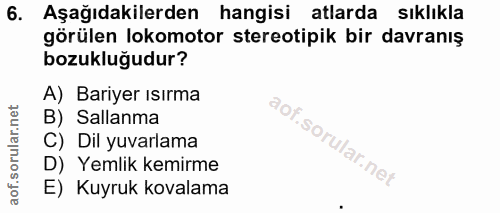 6. soru: Aşağıdakilerden hangisi atlarda sıklıkla görülen lokomotor stereotipik bir davranış bozukluğudur? A) Bariyer ısırma B…