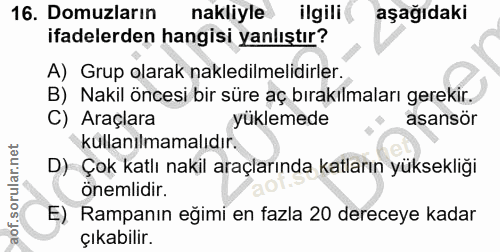 16. soru: Domuzların nakliyle ilgili aşağıdaki ifadelerden hangisi yanlıştır? A) Grup olarak nakledilmelidirler. B) Nakil önces…