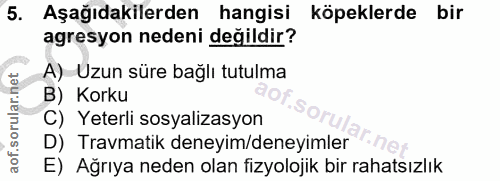 5. soru: Aşağıdakilerden hangisi köpeklerde bir agresyon nedeni değildir? A) Uzun süre bağlı tutulma B) Korku C) Yeterli sosya…
