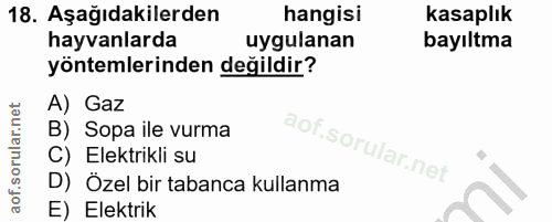 18. soru: Aşağıdakilerden hangisi kasaplık hayvanlarda uygulanan bayıltma yöntemlerinden değildir? A) Gaz B) Sopa ile vurma C)…