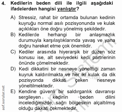 4. soru: Kedilerin beden dili ile ilgili aşağıdaki ifadelerden hangisi yanlıştır? A) Stressiz, rahat bir ortamda bulunan kedin…