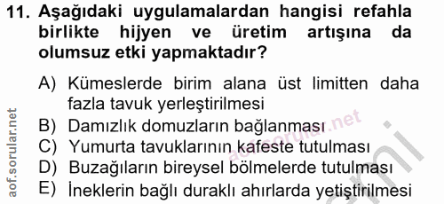 11. soru: Aşağıdaki uygulamalardan hangisi refahla birlikte hijyen ve üretim artışına da olumsuz etki yapmaktadır? A) Kümeslerd…