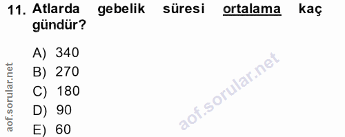 11. soru: Atlarda gebelik süresi ortalama kaç gündür? A) 340 B) 270 C) 180 D) 90 E) 60