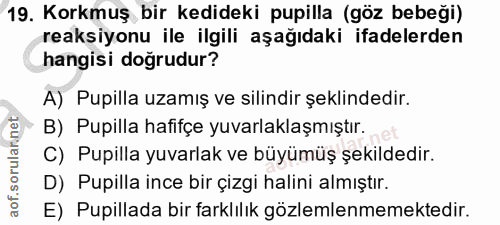 19. soru: Korkmuş bir kedideki pupilla (göz bebeği) reaksiyonu ile ilgili aşağıdaki ifadelerden hangisi doğrudur? A) Pupilla uz…