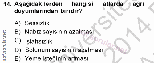 14. soru: Aşağıdakilerden hangisi atlarda ağrı duyumlarından biridir? A) Sessizlik B) Nabız sayısının azalması C) İştahsızlık P…