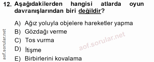 12. soru: Aşağıdakilerden hangisi atlarda oyun davranışlarından biri değildir? A) Ağız yoluyla objelere hareketler yapma B) Göz…