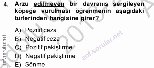 4. soru: Arzu edilmeyen bir davranış şergileyen köpeğe vurulması öğrenmenin aşağıdaki türlerinden hangisine girer? A) Pozitif…