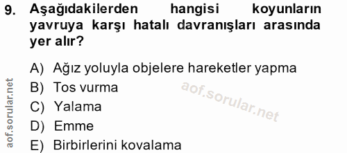 9. soru: Aşağıdakilerden hangisi koyunların yavruya karşı hatalı davranışları arasında yer alır? A) Ağız yoluyla objelere hare…