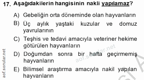 17. soru: Aşağıdakilerin hangisinin nakli yapılamaz? A) Gebeliğin orta döneminde olan hayvanların B) Üç aylık yaştaki kuzular v…