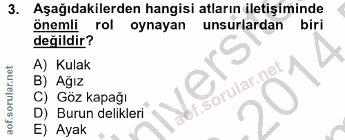 3. soru: Aşağıdakilerden hangisi atların iletişiminde önemli rol oynayan unsurlardan biri değildir? A) Kulak B) Ağız ver bf. _…