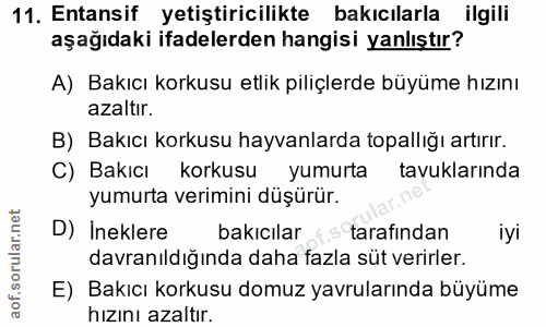 11. soru: Entansif yetiştiricilikte bakıcılarla ilgili aşağıdaki ifadelerden hangisi yanlıştır? A) Bakıcı korkusu etlik piliçle…