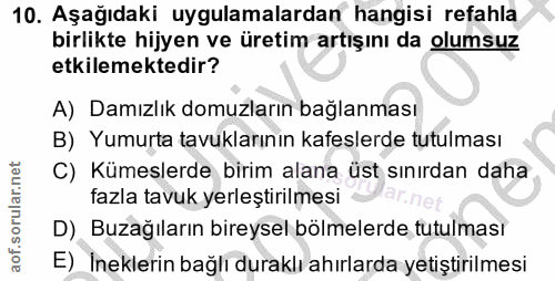 10. soru: Aşağıdaki uygulamalardan hangisi refahla birlikte hijyen ve üretim artışını da olumsuz etkilemektedir? A) Damızlık do…
