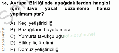 14. soru: Avrupa Birliği'nde aşağıdakilerden hangisi için ilave yapılmamıstır y Yasal" düzenleme henüz A) Keçi yetiştiriciliği…