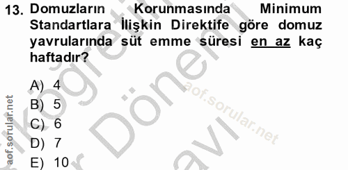 13. soru: Domuzların Korunmasında Minimum Standartlara İlişkin Direktife göre domuz yavrularında süt emme süresi en az kaç haft…