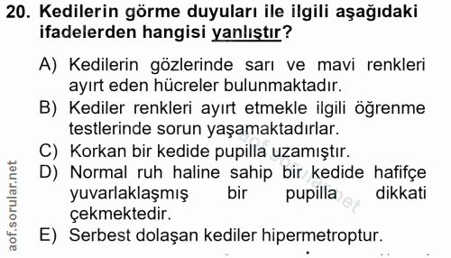 20. soru: Kedilerin görme duyuları ile ilgili aşağıdaki ifadelerden hangisi yanlıştır? A) Kedilerin gözlerinde sarı ve mavi ren…