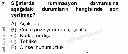 7. soru: Sığırlarda ruminasyon davranışına aşağıdaki durumların hangisinde son verilmez? A) Açlık, ağrı B) Vücut pozisyonunda…