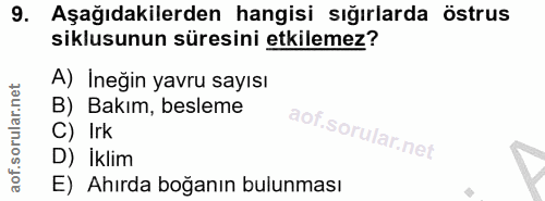9. soru: Aşağıdakilerden hangisi sığırlarda östrus siklusunun süresini etkilemez? A) İneğin yavru sayısı B) Bakım, besleme C)…