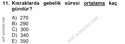 11. soru: Kısraklarda gebelik süresi ortalama kaç gündür? A) 270 B) 290 C) 300 D) 340 E) 390
