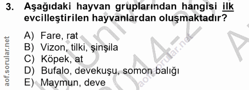 3. soru: . Aşağıdaki hayvan gruplarından hangisi ilk evcilleştirilen hayvanlardan oluşmaktadır? A) Fare, rat B) Vizon, tilki,…