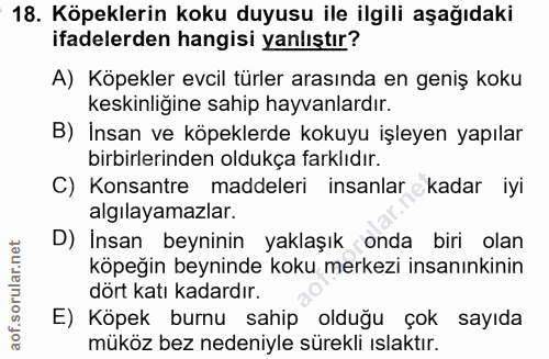 18. soru: Köpeklerin koku duyusu ile ilgili aşağıdaki ifadelerden hangisi yanlıştır? A) Köpekler evcil türler arasında en geniş…