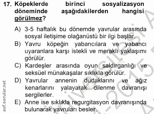17. soru: Köpeklerde birinci sosyalizasyon döneminde aşağıdakilerden hangisi görülmez? A) 3-5 haftalık bu dönemde yavrular aras…