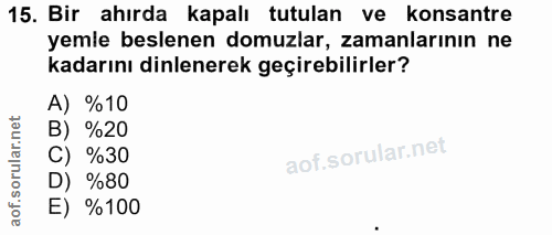 15. soru: Bir ahırda kapalı tutulan ve konsantre yemle beslenen domuzlar, zamanlarının ne kadarını dinlenerek geçirebilirler? A…