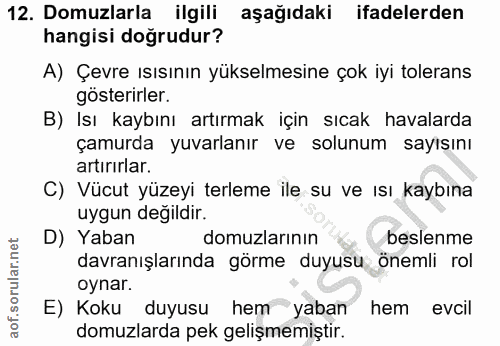 12. soru: Domuzlarla ilgili aşağıdaki ifadelerden hangisi doğrudur? A) Çevre ısısının yükselmesine çok iyi tolerans gösterirler…