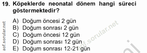 19. soru: Köpeklerde neonatal dönem hangi süreci göstermektedir? A) Doğum öncesi 2 gün B) Doğum sonrası 2 gün C) Doğum öncesi 1…