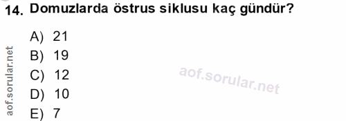 14. soru: Domuzlarda östrus siklusu kaç gündür? A) 21 B) 19 of. C) 12 D) 10 E) 7