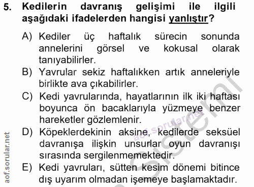 5. soru: Kedilerin davranış gelişimi ile ilgili aşağıdaki ifadelerden hangisi yanlıştır? A) Kediler üç haftalık sürecin sonund…