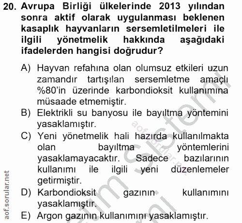 20. soru: Avrupa Birliği ülkelerinde 2013 yılından sonra aktif olarak uygulanması beklenen kasaplık hayvanların sersemletilmele…
