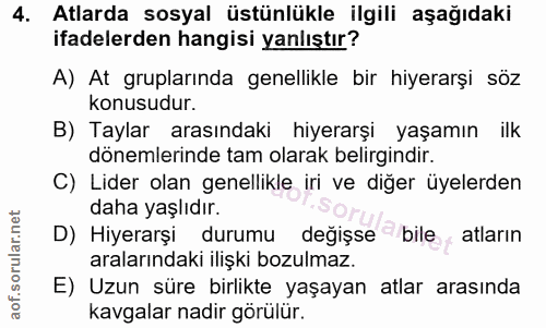 4. soru: Atlarda sosyal üstünlükle ilgili aşağıdaki ifadelerden hangisi yanlıştır? A) At gruplarında genellikle bir hiyerarşi…