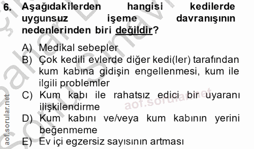 6. soru: Aşağıdakilerden hangisi kedilerde uygunsuz işeme davranışının nedenlerinden biri değildir? A) Medikal sebepler B) Çok…