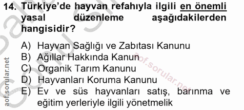 14. soru: Türkiye'de hayvan refahıyla ilgili en önemli yasal düzenleme aşağıdakilerden hangisidir? A) Hayvan Sağlığı ve Zabıtas…