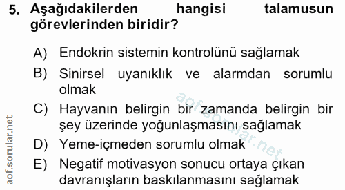 5. soru: Aşağıdakilerden hangisi talamusun görevlerinden biridir? A) Endokrin sistemin kontrolünü sağlamak B) Sinirsel uyanıkl…