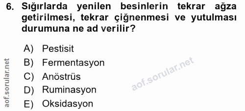 6. soru: Sığırlarda yenilen besinlerin tekrar ağza getirilmesi, tekrar çiğnenmesi ve yutulması durumuna ne ad verilir? A) Pest…