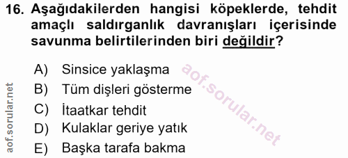 16. soru: Aşağıdakilerden hangisi köpeklerde, tehdit amaçlı saldırganlık davranışları içerisinde savunma belirtilerinden biri d…