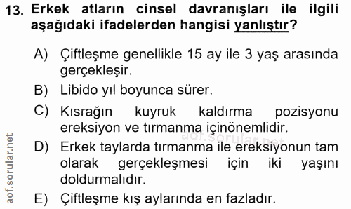 13. soru: Erkek atların cinsel davranışları ile ilgili aşağıdaki ifadelerden hangisi yanlıştır? A) Çiftleşme genellikle 15 ay i…