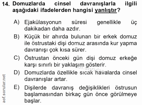 14. soru: Domuzlarda cinsel davranışlarla ilgili aşağıdaki ifadelerden hangisi yanlıştır? A) Ejakülasyonun süresi genellikle üç…
