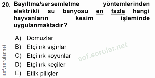 20. soru: Bayıltma/sersemletme yöntemlerinden elektrikli su banyosu en fazla hangi hayvanların kesim işleminde uygulanmaktadır?…