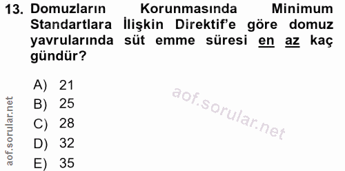 13. soru: Domuzların Korunmasında Minimum Standartlara İlişkin Direktif'e göre domuz yavrularında süt emme süresi en az kaç gün…
