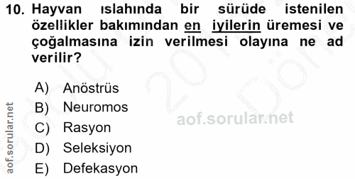 10. soru: Hayvan ıslahında bir sürüde istenilen özellikler bakımından en iyilerin üremesi ve çoğalmasına izin verilmesi olayına…