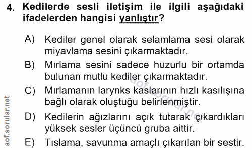 4. soru: Kedilerde sesli iletişim ile ilgili aşağıdaki ifadelerden hangisi yanlıştır? A) Kediler genel olarak selamlama sesi o…