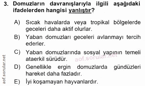 3. soru: Domuzların davranışlarıyla ilgili aşağıdaki ifadelerden hangisi yanlıştır? A) Sıcak havalarda veya tropikal bolgelerd…