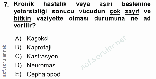7. soru: Kronik hastalık veya aşırı beslenme yetersizliği sonucu vücudun çok zayıf ve bitkin vaziyette olması durumuna ne ad v…