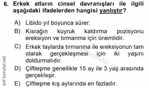 6. soru: Erkek atların cinsel davranışları ile ilgili aşağıdaki ifadelerden hangisi yanlıştır? A) Libido yıl boyunca sürer. B)…