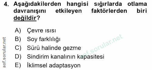 4. soru: Aşağıdakilerden hangisi sığırlarda otlama davranışını etkileyen faktörlerden biri değildir? A) Çevre IsIsI B) Soy far…