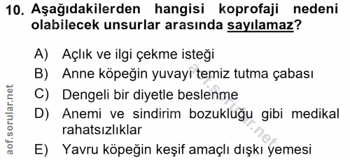 10. soru: Aşağıdakilerden hangisi koprofaji nedeni olabilecek unsurlar arasında sayılamaz? A) Açlık ve ilgi çekme isteği B) Ann…